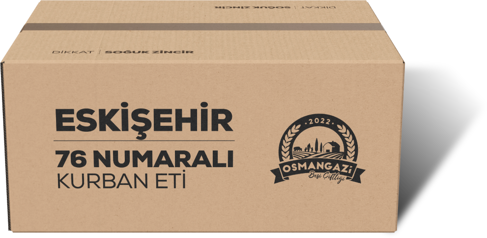 Osmangazi Koli Teslimat