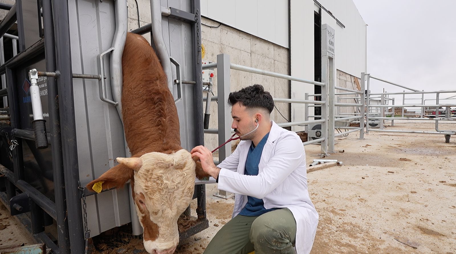 Veteriner Hekim Kontrolü